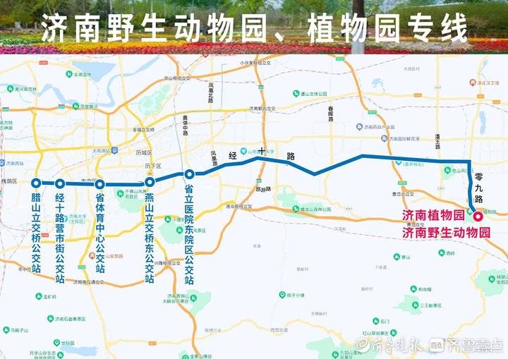畅游雪野湖、红叶谷、植物园……济南公交将开通5条景区专线